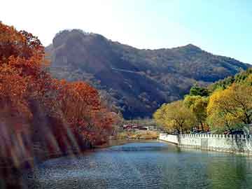 新澳天天开奖资料大全旅游团，餐具消毒设备价格